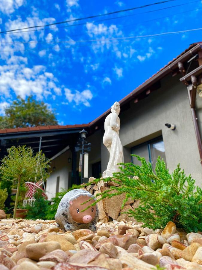 The Residence Of Silver Sky House Timişoara Exterior foto