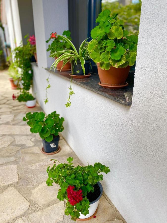 The Residence Of Silver Sky House Timişoara Exterior foto